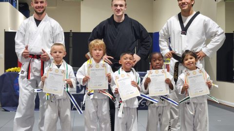 Martial Arts - Taekwondo, BJJ, Kickboxing, Self Defense