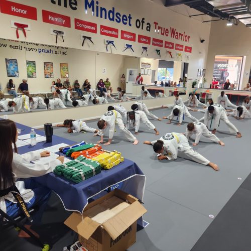 martial arts